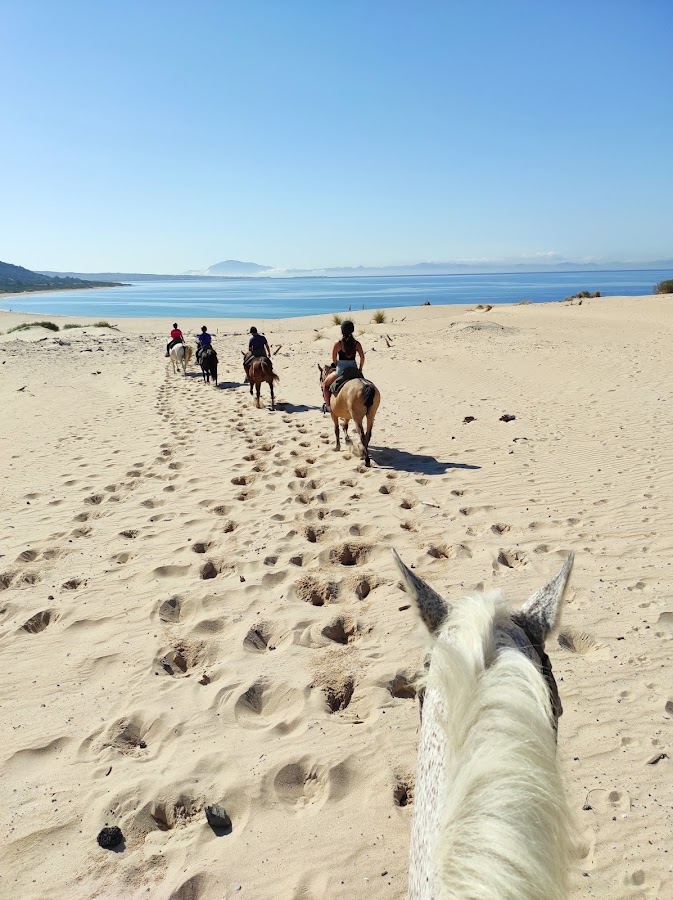 Rutas A Caballo Tarifa