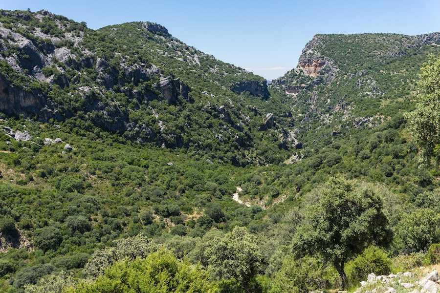 Sendero De Los Llanos De Rabel