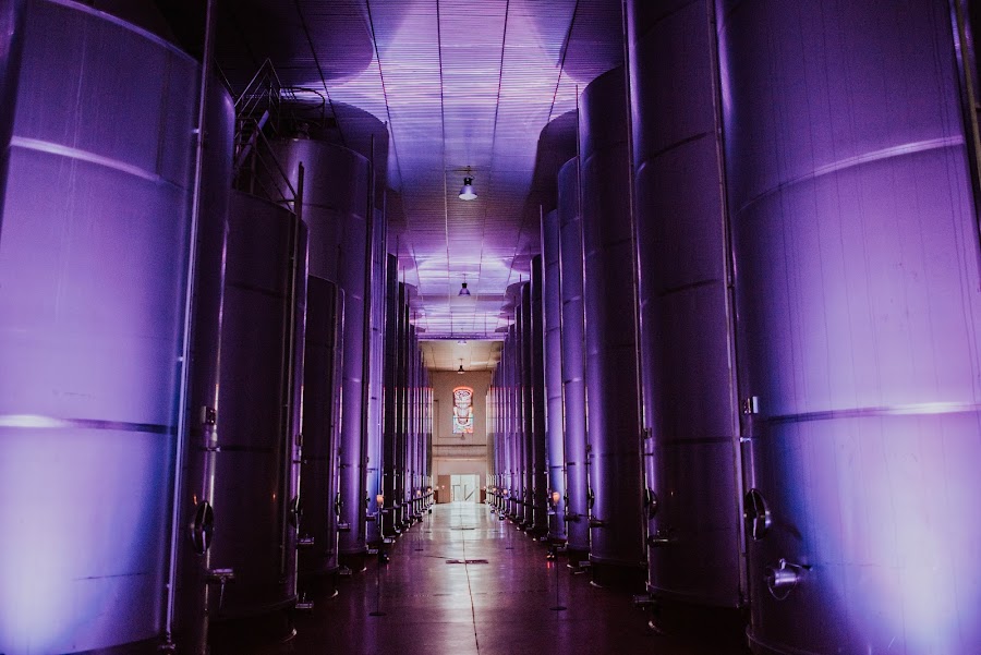 Bodegas Ontañón, El Templo del Vino