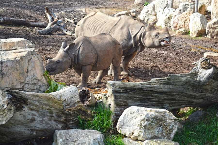 Terra Natura Benidorm