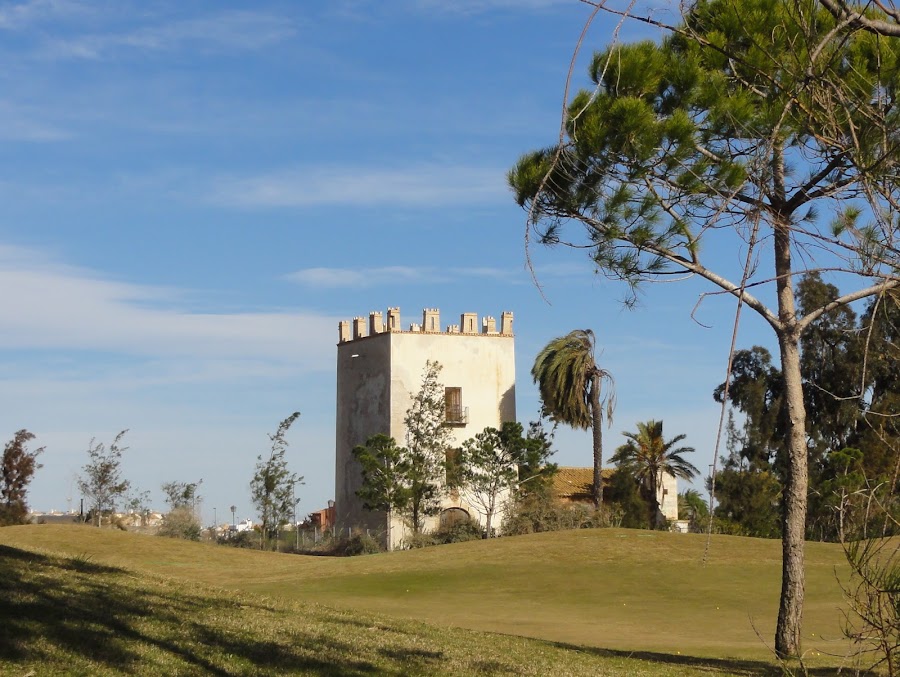 Torre Del Rame