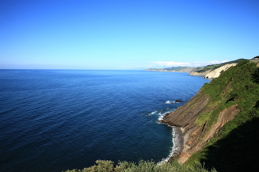 Vista Panorámica