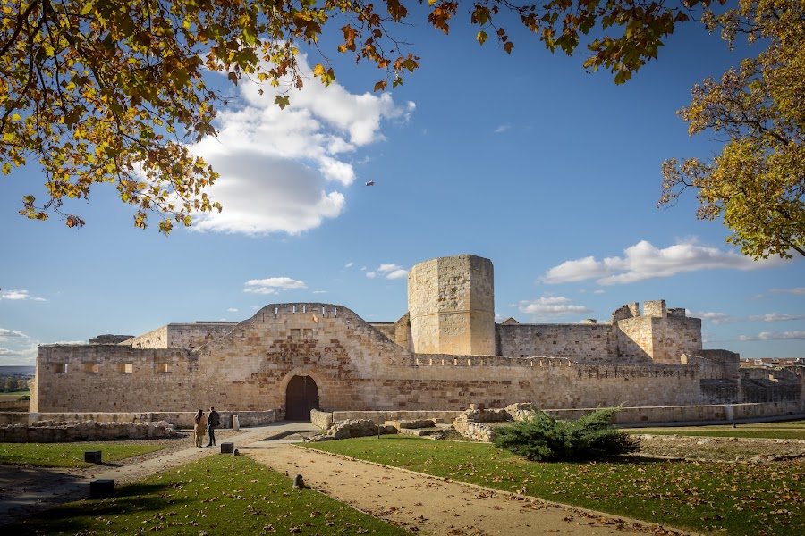 Castillo de Zamora